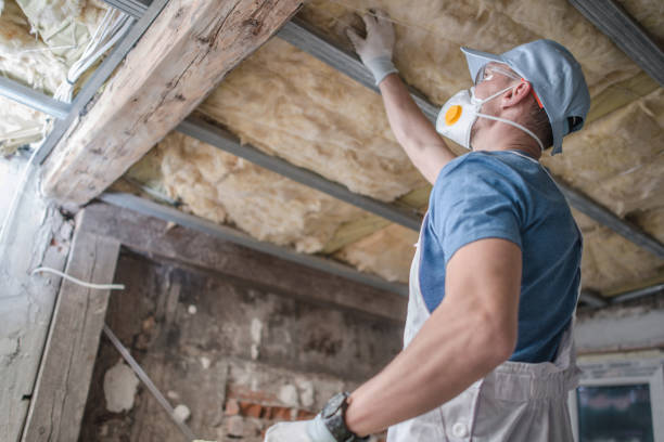 Best Insulation Replacement Services  in Wilkinsburg, PA