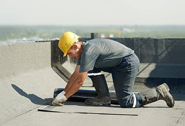 Best Insulation Replacement Services  in Wilkinsburg, PA