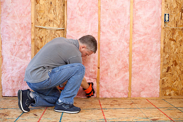Best Local Insulation Services  in Wilkinsburg, PA