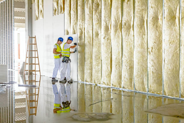 Best Affordable Insulation Services  in Wilkinsburg, PA